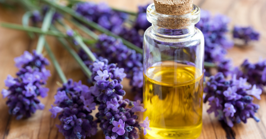 A bottle of lavender oil next to a lavender plant on a table.